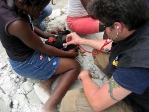 Haiti chicken