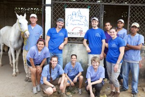 WorldVets Equine 1 2011